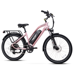 Citypro E-43 eBike